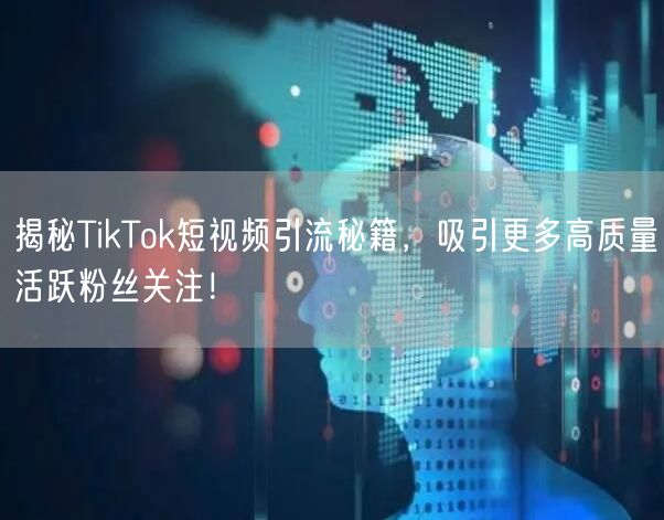 揭秘TikTok短视频引流秘籍，吸引更多高质量活跃粉丝关注！