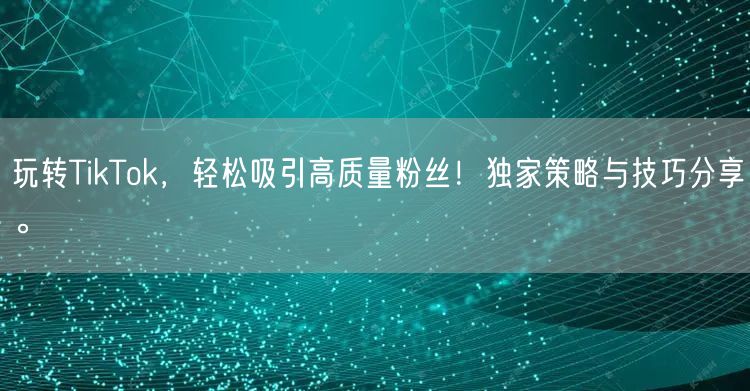 玩转TikTok，轻松吸引高质量粉丝！独家策略与技巧分享。