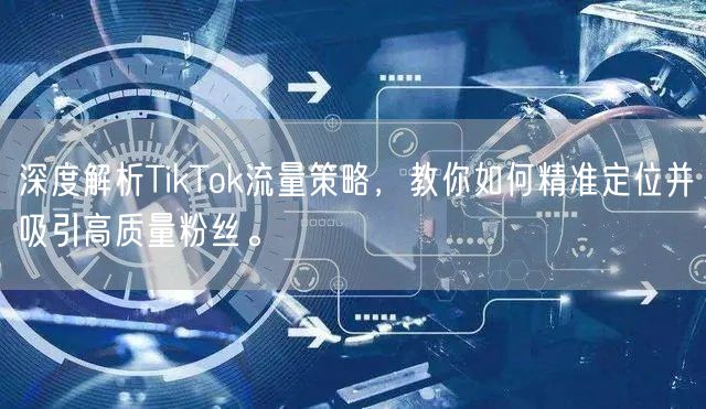 深度解析TikTok流量策略，教你如何精准定位并吸引高质量粉丝。