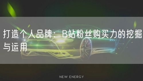 打造个人品牌：B站粉丝购买力的挖掘与运用