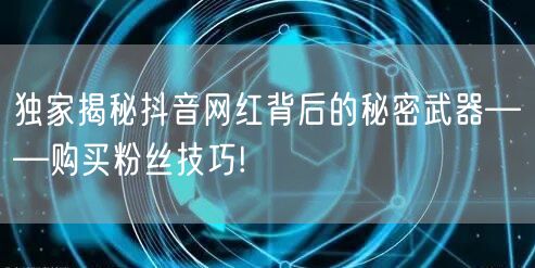 独家揭秘抖音网红背后的秘密武器——购买粉丝技巧!