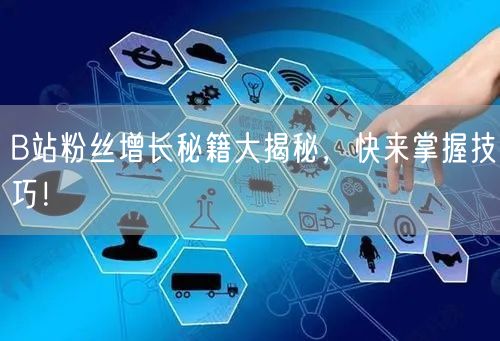 B站粉丝增长秘籍大揭秘，快来掌握技巧！