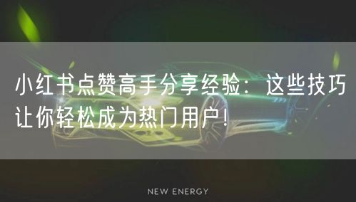 小红书点赞高手分享经验：这些技巧让你轻松成为热门用户！