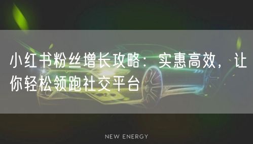 小红书粉丝增长攻略：实惠高效，让你轻松领跑社交平台