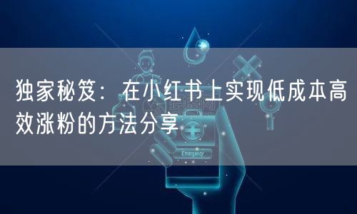 独家秘笈：在小红书上实现低成本高效涨粉的方法分享