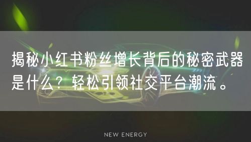 揭秘小红书粉丝增长背后的秘密武器是什么？轻松引领社交平台潮流。