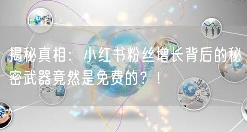 揭秘真相：小红书粉丝增长背后的秘密武器竟然是免费的？！