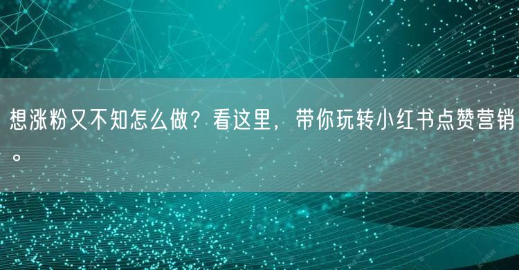 想涨粉又不知怎么做？看这里，带你玩转小红书点赞营销。