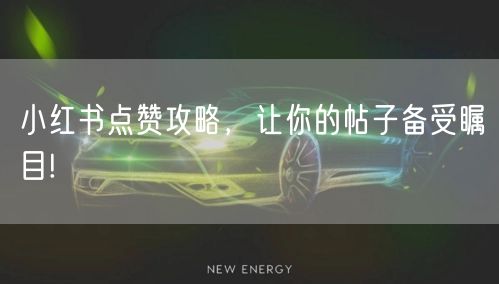 小红书点赞攻略，让你的帖子备受瞩目!