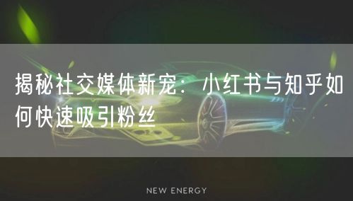 揭秘社交媒体新宠：小红书与知乎如何快速吸引粉丝