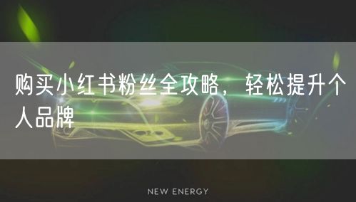 购买小红书粉丝全攻略，轻松提升个人品牌