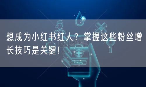 想成为小红书红人？掌握这些粉丝增长技巧是关键！