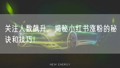 关注人数飙升，揭秘小红书涨粉的秘诀和技巧！